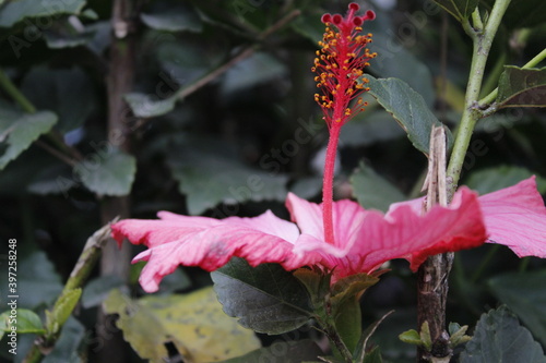 Colección naturaleza y luces
