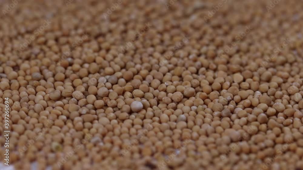 Close up view raw dried bulk mustard seeds filling the frame. Close up view raw dried bulk mustard seeds filling the frame.