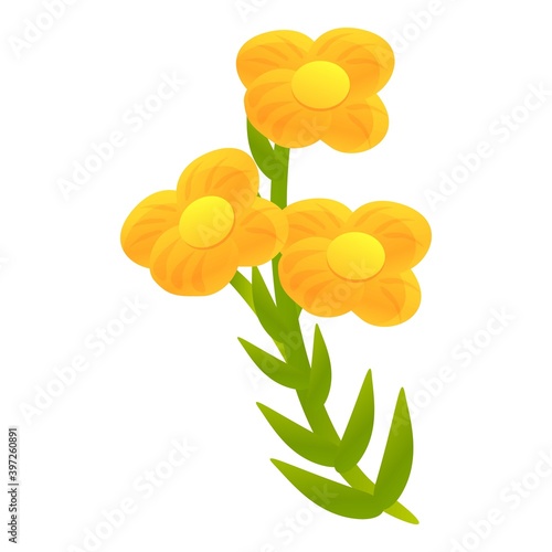 Canola flower plant icon. Cartoon of canola flower plant vector icon for web design isolated on white background