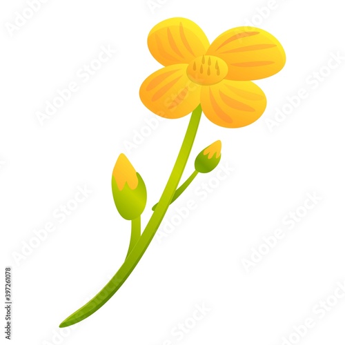 Canola yellow flower icon. Cartoon of canola yellow flower vector icon for web design isolated on white background