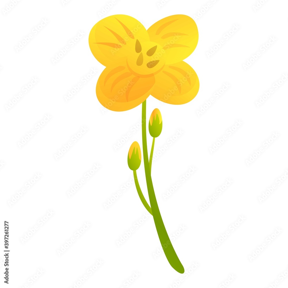 Canola bio eco plant icon. Cartoon of canola bio eco plant vector icon for web design isolated on white background