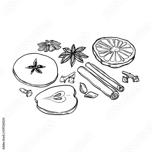 Spices for making mulled wine: cardamom, cinnamon, cloves, anise, orange, apple. Isolated on a white background. Hand-drawn vector illustration.