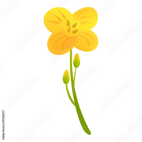 Canola bio eco plant icon. Cartoon of canola bio eco plant vector icon for web design isolated on white background
