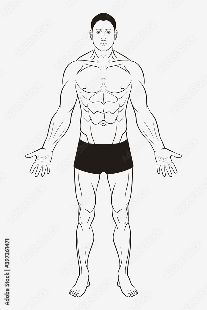 Men's Body and Male Human Anatomy. Shape and Outline Template