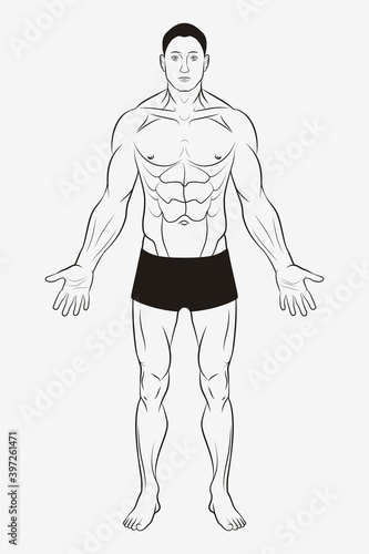 Men's Body and Male Human Anatomy. Shape and Outline Template