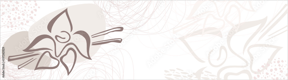 Obraz premium vanilla, vector, logo, symbol, emblem, flowers, seasoning, pastry chef, taste, sweetness, cooking