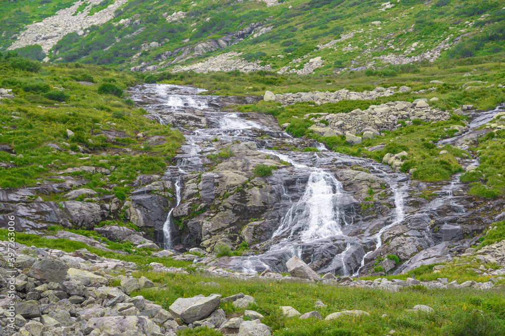 Rapid stream in mountain valley among grassy banks. Small waterfall in green meadow.