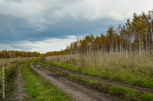 Autumn landscape with dirt road. Rural road in autumn field under cloudy sky.