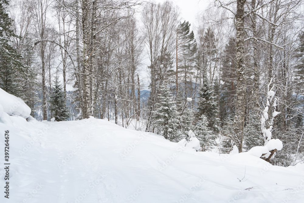 Snow covered country road in winter forest Snow covered country road in winter forest