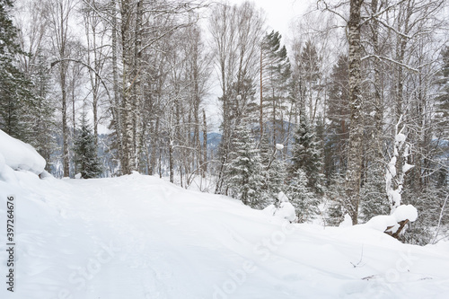 Snow covered country road in winter forest