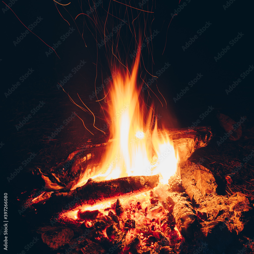 Wood is burning in fire. Fire for bushcraft and tourism at night gives warmth and light. Wood is burning in fire. Fire for bushcraft and tourism at night gives warmth and light.