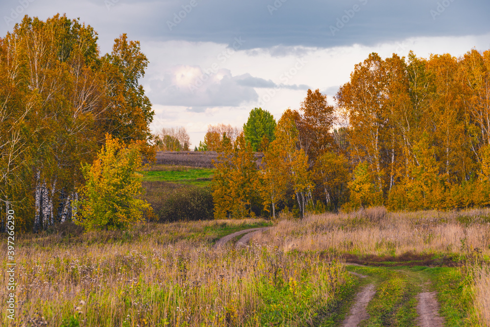 Autumn landscape with dirt road. Rural road in autumn field under cloudy sky.