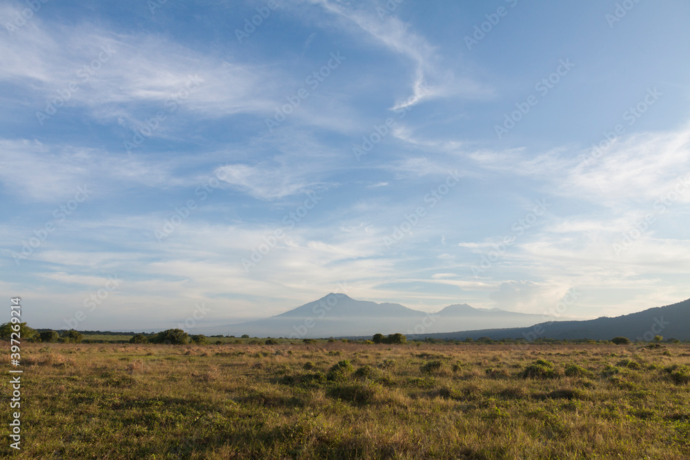 Savana Bekol is a place where tourists can observe wildlife in the Baluran National Park area, Situbondo, Indonesia.