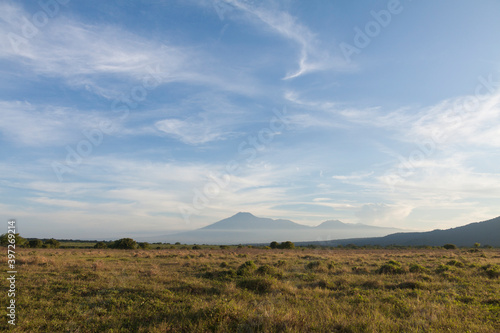 Savana Bekol is a place where tourists can observe wildlife in the Baluran National Park area  Situbondo  Indonesia.