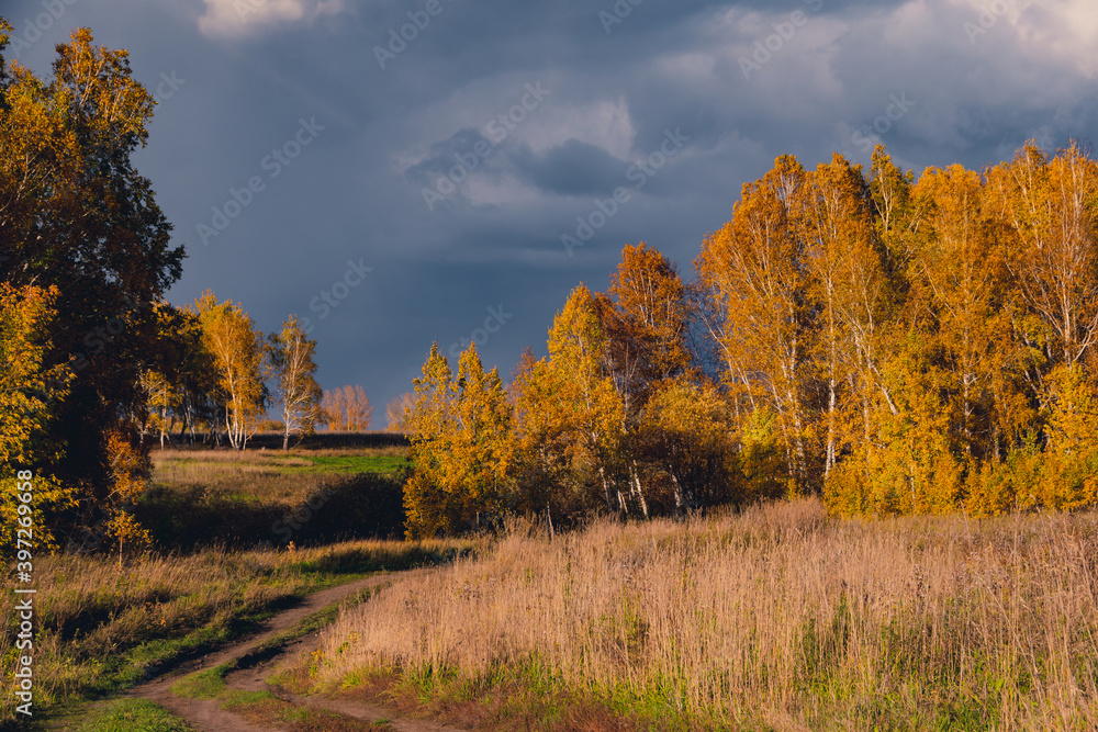 Autumn landscape with dirt road. Rural road in autumn field under cloudy sky.