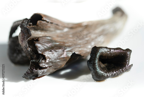 Craterellus cornucopioides, hongo comestible, del género Craterellus, perteneciente a la familia Cantharellaceae. Nombre : trompeta de la muerte o de los muertos. 