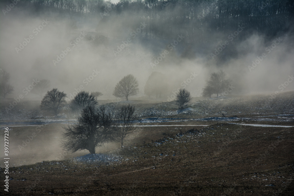 Fototapeta premium Fog in the mist