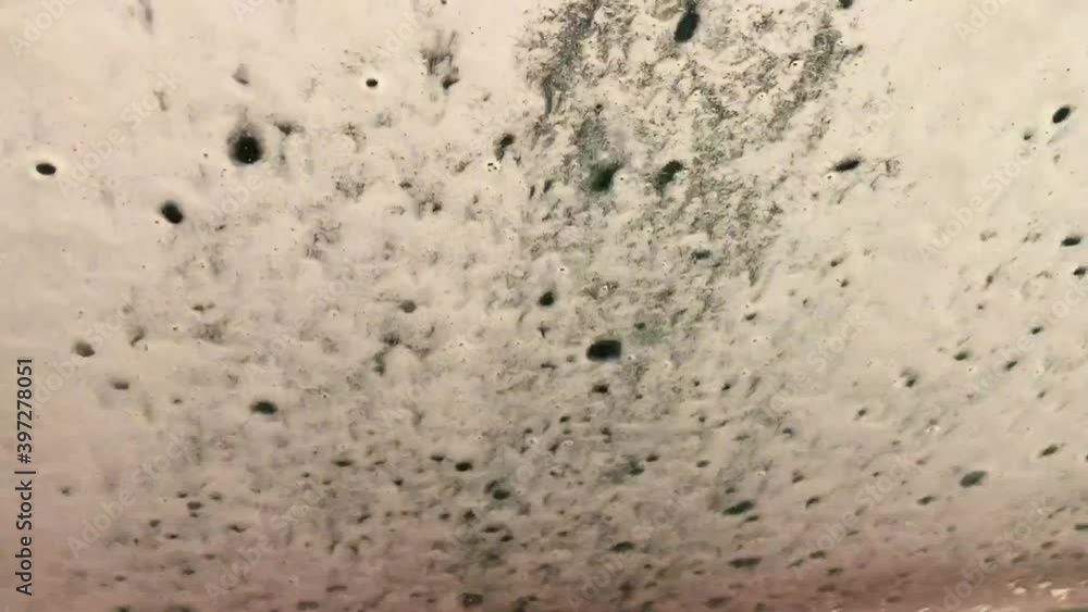 Multicolored foam quickly flows down the windshield of the car. After - the foam is washed off with clean water. The windshield becomes transparent. Automatic car wash Multicolored foam quickly flows down the windshield of the car. After - the foam is washed off with clean water. The windshield becomes transparent. Automatic car wash