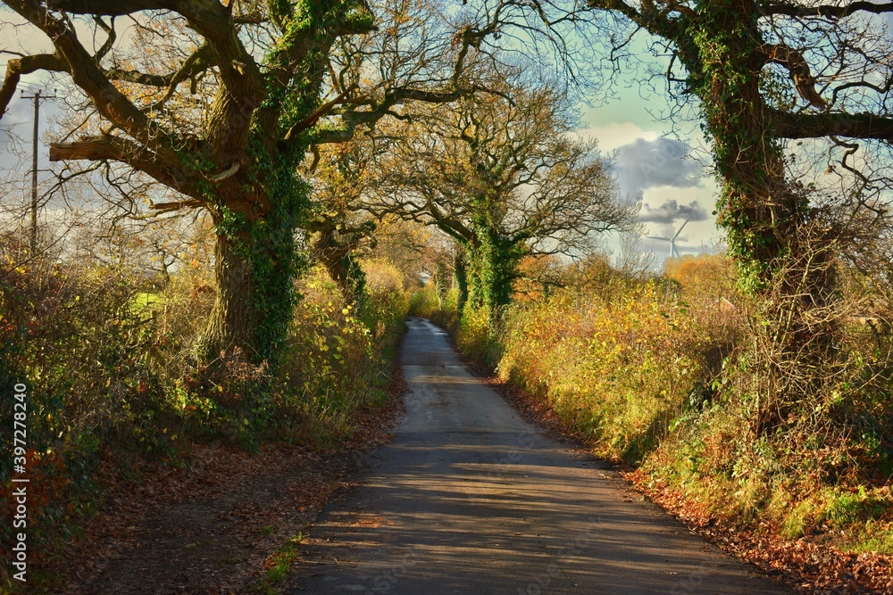 English country road