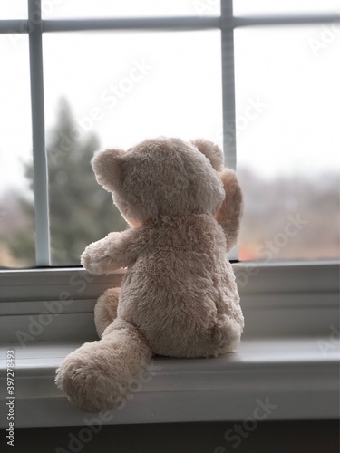 teddy bear looking out of  the window