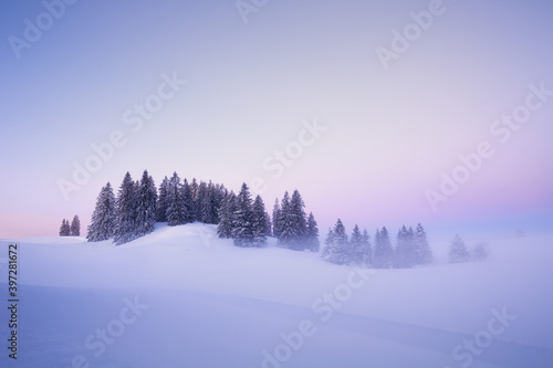 Picturesque winter landscape of snowy valley covered by coniferous woods at sunset photo