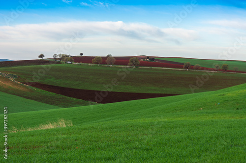 field and sky with clouds. Green field and blue sky with light clouds. Agricultural landscape.Wide photo. green field blue sky. green background