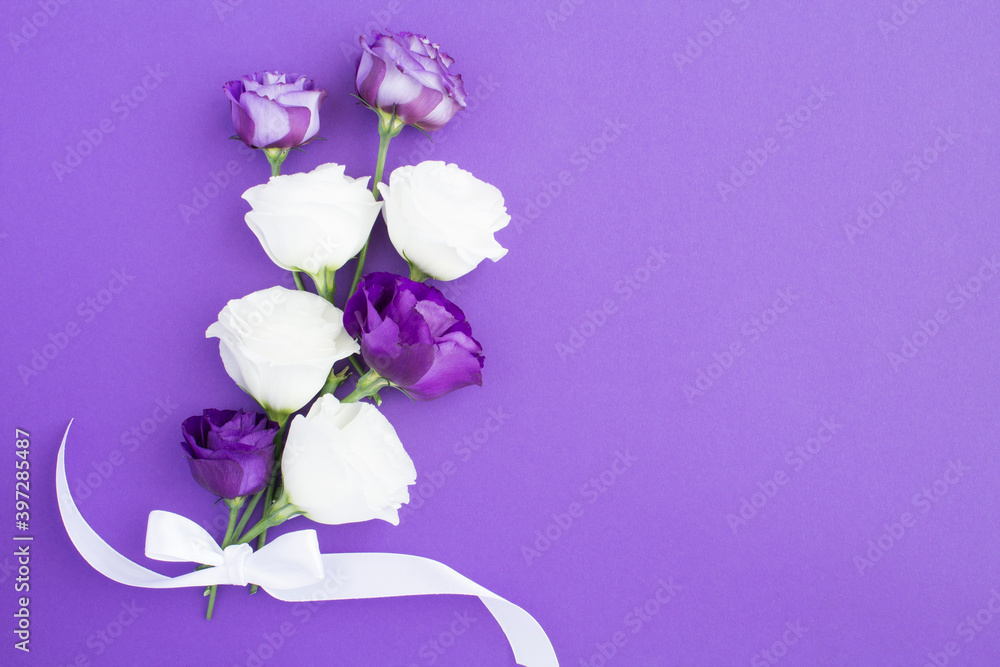 Obraz premium White and violet flowers on the violet background with copy space