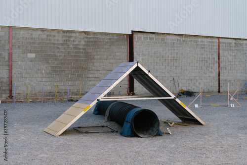 Set of various agility equipment for dogs training and dressage installed on outdoor ground photo