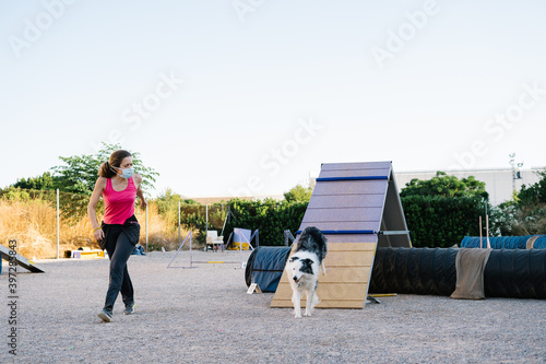 Obedient purebred Border Collie dog running up on A frame during agility training with female instructor wearing protective face mask