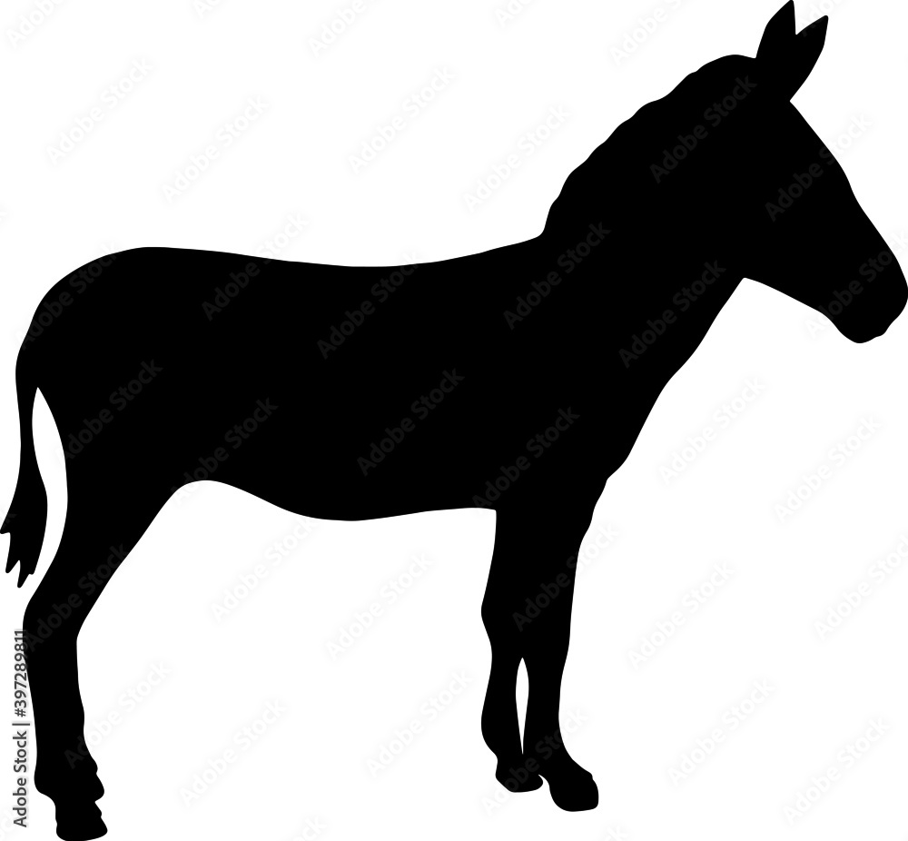 Icon of donkey silhouette. Black vector illustration of farm animal