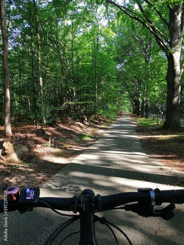 Bike Path in the Netherlands