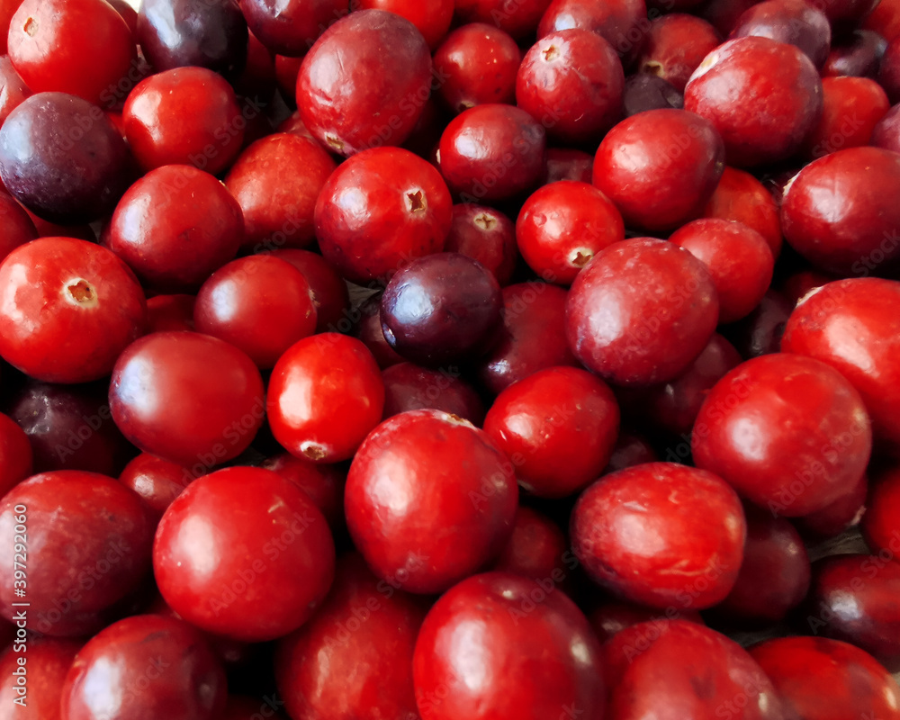 Fresh raw red cranberries - background Fresh raw red cranberries - background