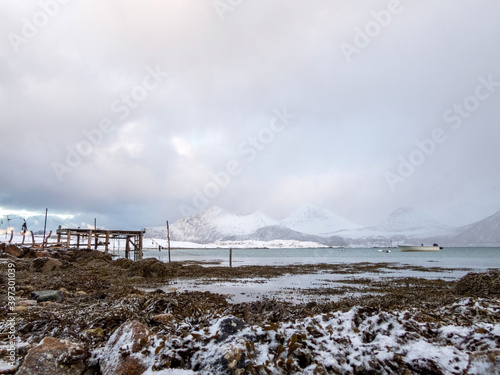 Strand bei Sandneshamn, Kvaloya, Norwegen photo