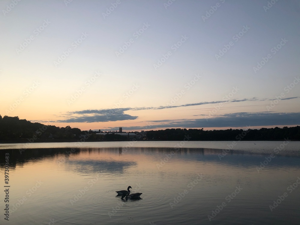 Reservoir with Geese at Sunset