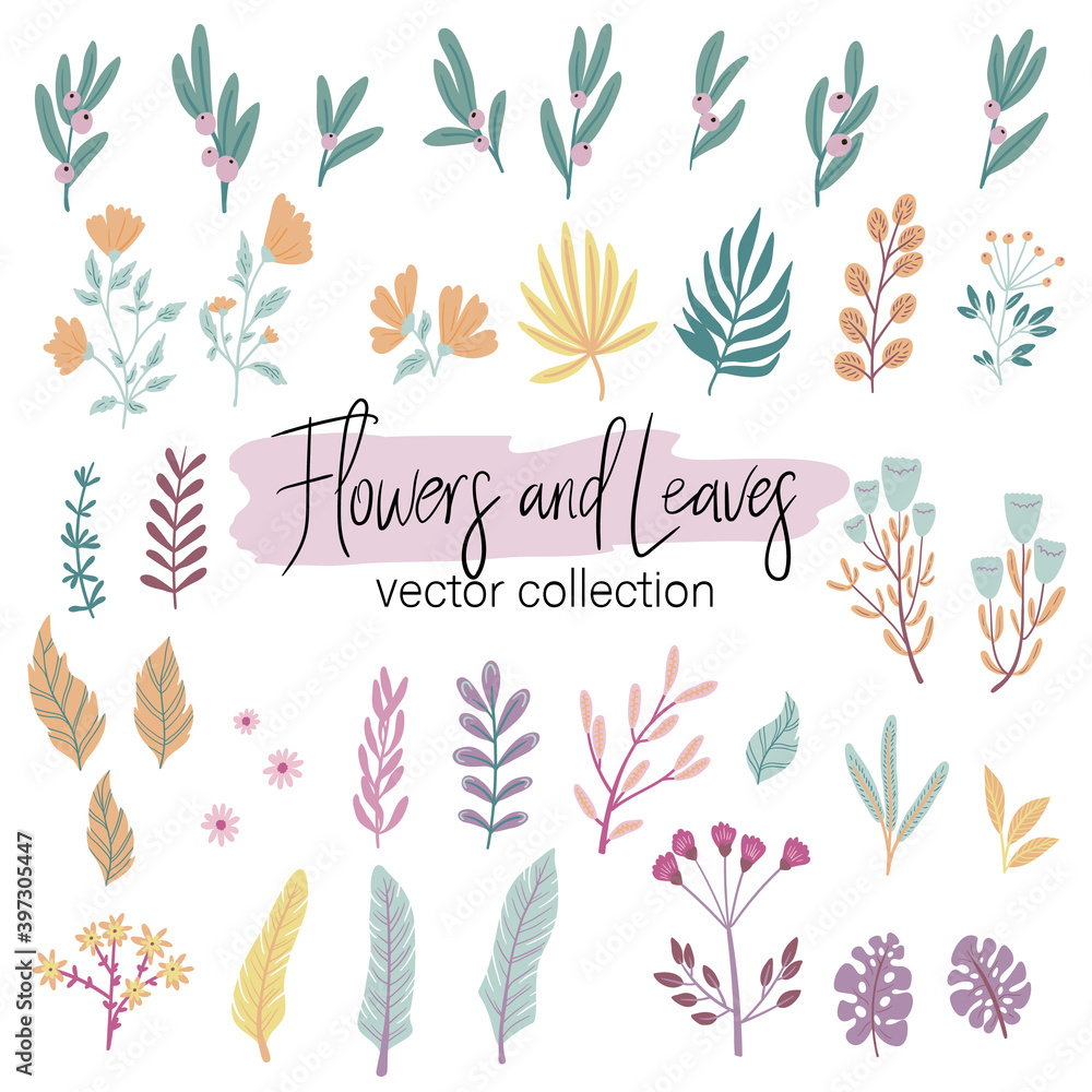 Fototapeta premium Vector Set of different plants isolated on white. Flowers and leaves collection for creating branding projects, logos, handmade craft items, web pages, magazine illustrations, notebook and book covers