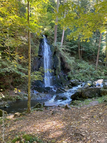waterfall in autumn forest
