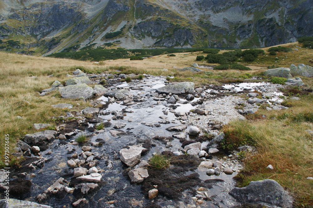 mountain stream in the mountains mountain stream in the mountains