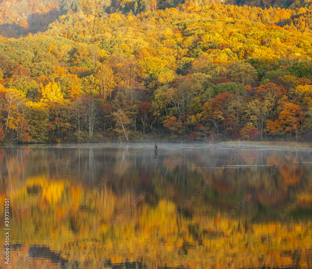 Mirror Pond Shows Beautiful Trees Turn in Red and Yellow in Autumn, Nagano Prefecture Japan Mirror Pond Shows Beautiful Trees Turn in Red and Yellow in Autumn, Nagano Prefecture Japan