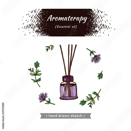 Aromatherapy accessory . Detailed hand-drawn sketches