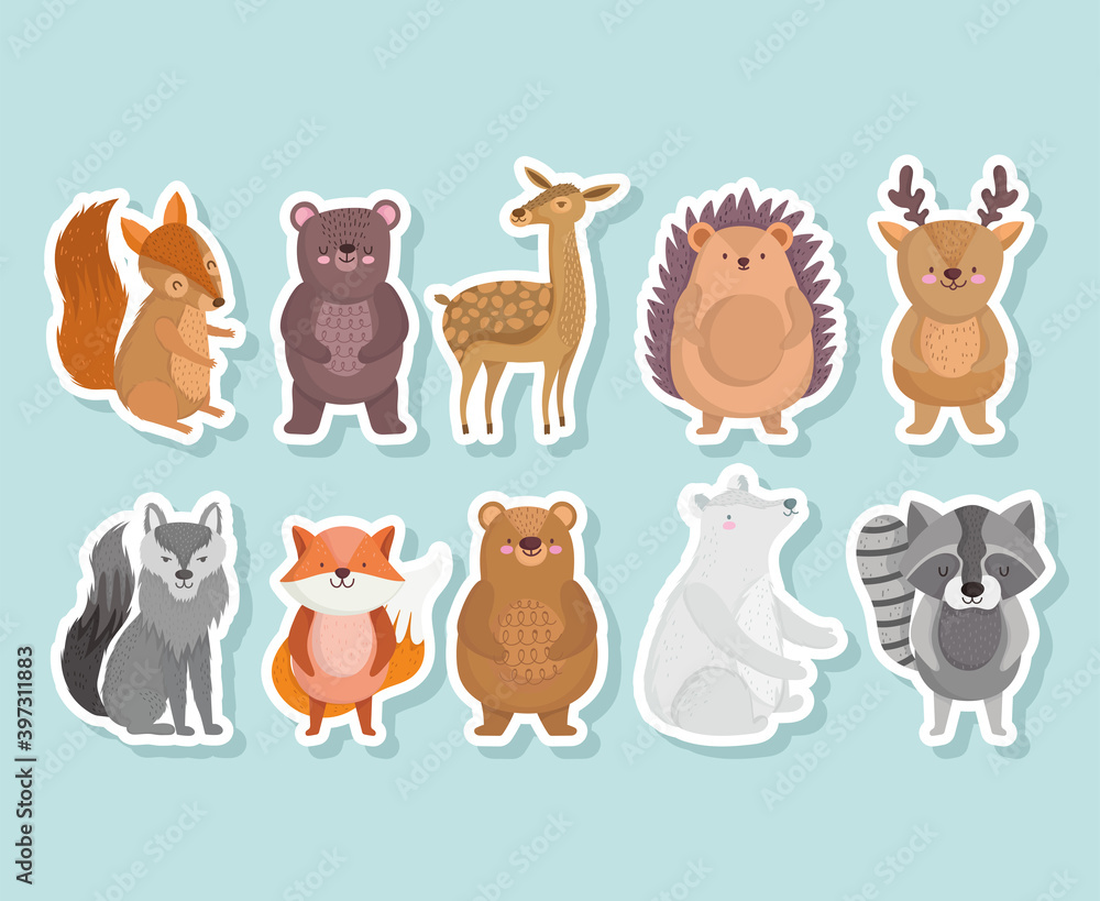 Naklejka premium cute squirrel bear hedgehog raccoon wolf fox animal with stars in cartoon icons