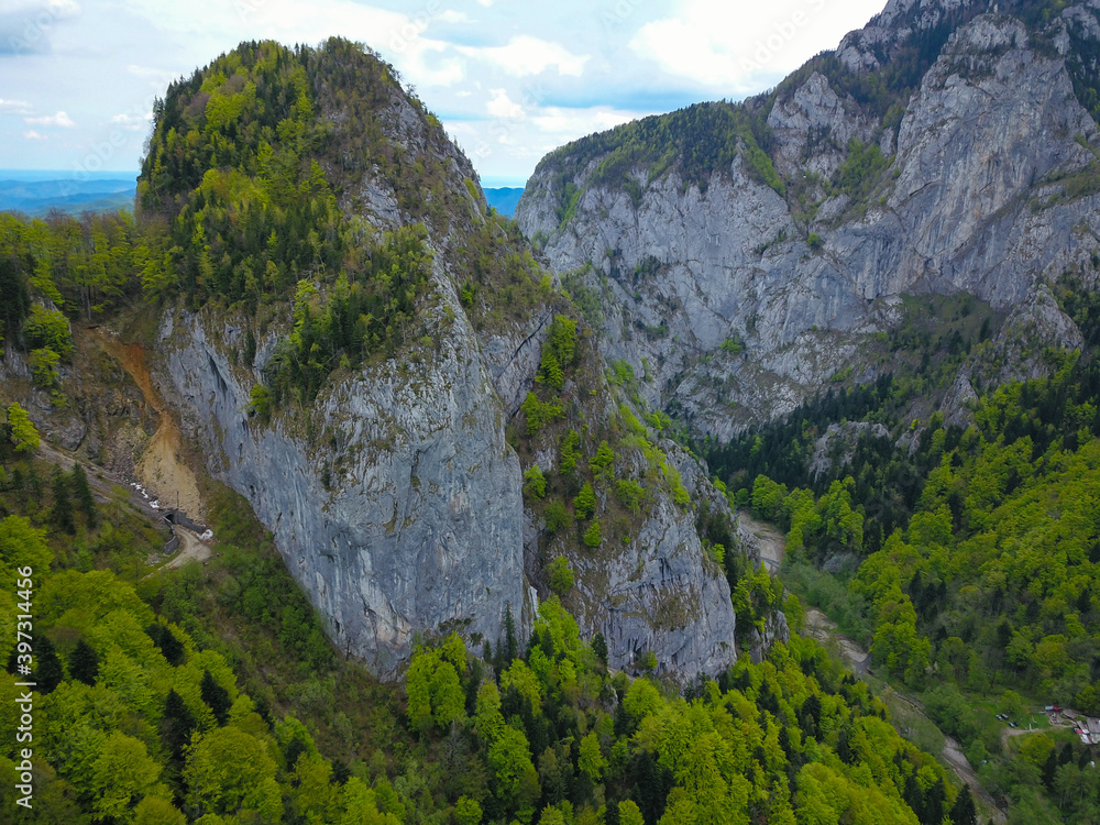 Fototapeta premium Aerial drone view over a steep cliff and a tunnel through a rocky mountain peak. Cheia Gorges, Capatanii Massif, Carpathia, Romania.