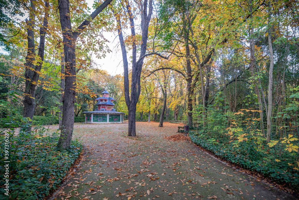 Fototapeta premium paisajes naturales en invierno con luces de la mañana