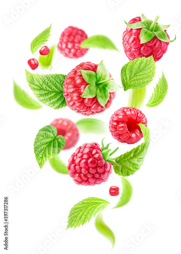 Tornado made of flying ripe raspberries and leaves on a white background