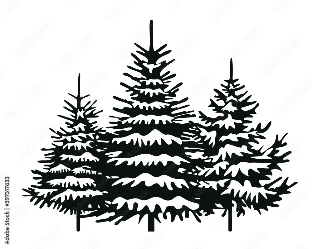 Obraz premium Black Spruce Trees with Snow. Winter illustration. Vector background.