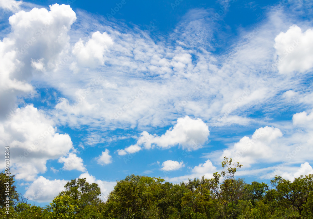 NUVENS BAILAR CÉU AZUL BRANCO ÁRVORE VERDE DIA 