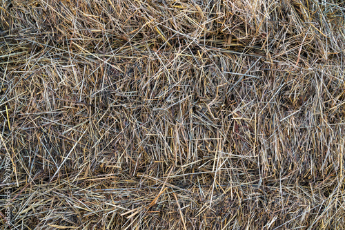straw