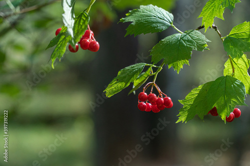 summer beauty