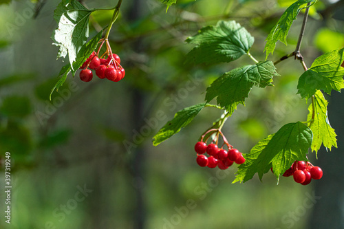 summer beauty