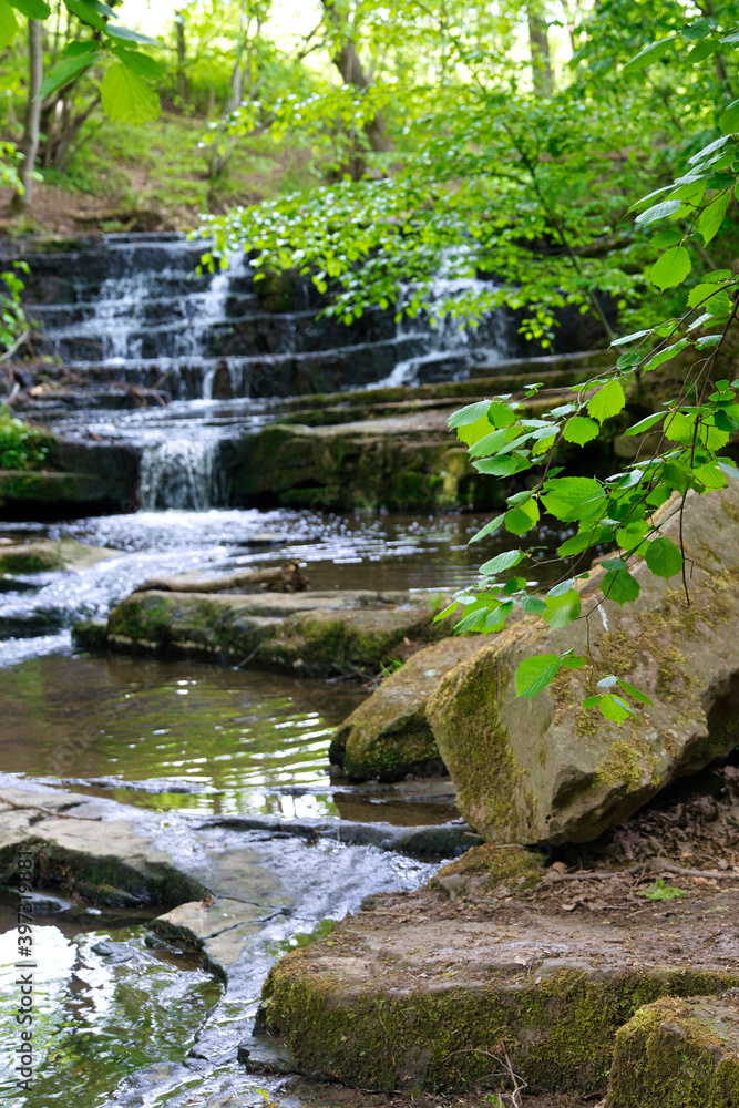 Wald mit Bachlauf, Verträumter, Bachlauf im Wald Wald mit Bachlauf, Verträumter, Bachlauf im Wald