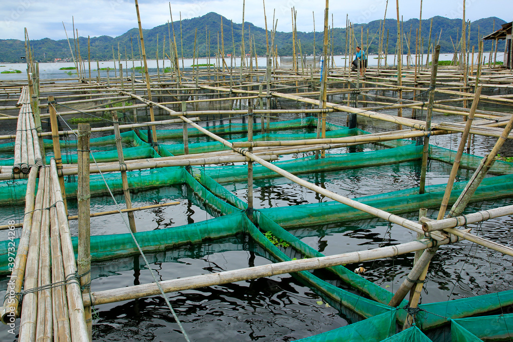 Fototapeta premium North Sulawesi, Indonesia, June 17, 2015. Freshwater culture cages are built by residents along the outskirts of Lake Tondano.